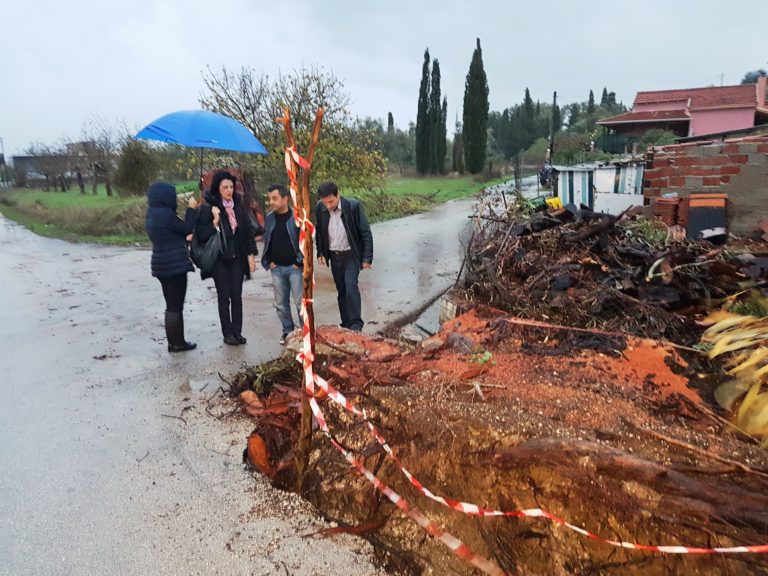 Κέρκυρα: Στη Λευκίμμη η Φ. Βάκη