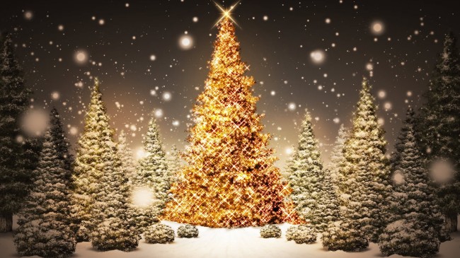 Στολίζεται το Χριστουγεννιάτικο δέντρο στην πλατεία Αριστοτέλους