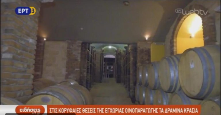 Κορυφαίας ποιότητας τα Δραμινά κρασιά (video)