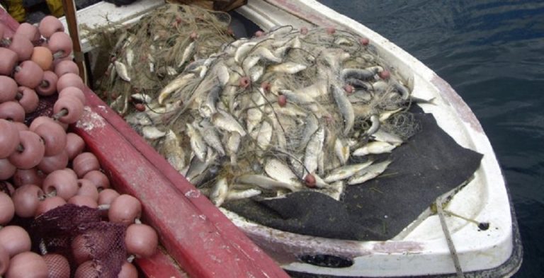 Καταρρέει η παράκτια αλιεία