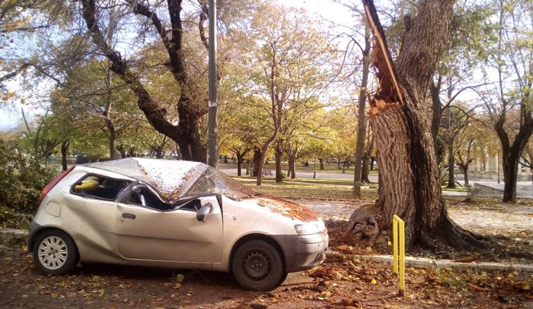 Κέρκυρα: Κλαδί έπεσε σε αυτοκίνητο στην πλατεία