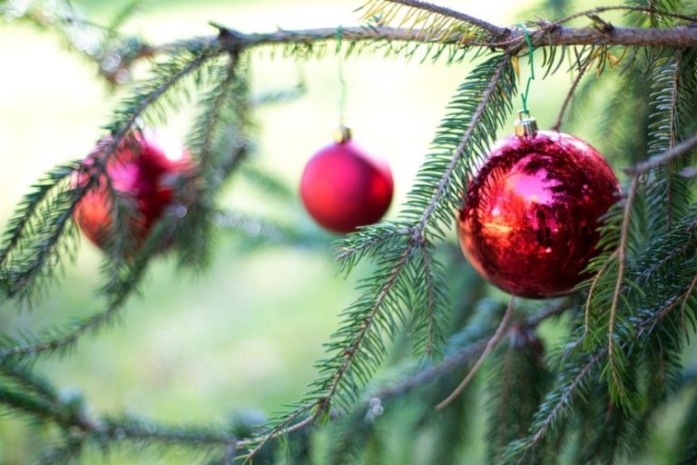 Αθήνα: Την Τρίτη 12/12 η φωταγώγηση του χριστουγεννιάτικου δέντρου
