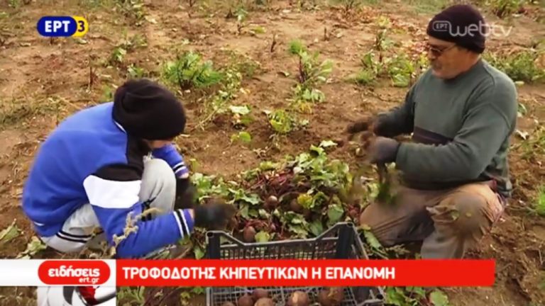 Οι καλλιέργειες της Επανομής Θεσσαλονίκης (video)