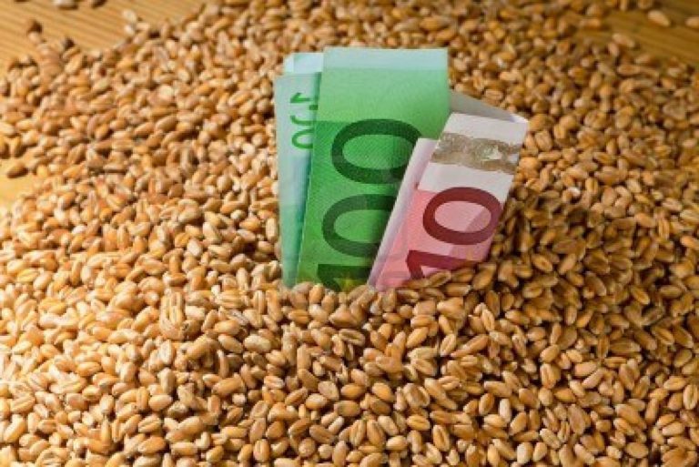 “Καμπανάκι” Β. Κόκκαλη για το σύστημα πληρωμών των ενισχύσεων στους αγρότες