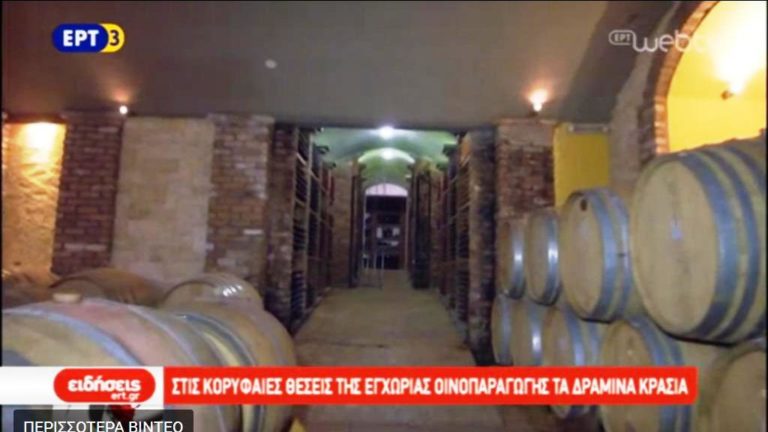 Κορυφαίας ποιότητας τα Δραμινά κρασιά (video)