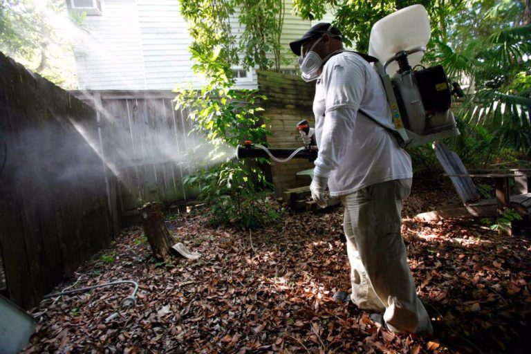 Ψεκασμοί για την καταπολέμηση των κουνουπιών