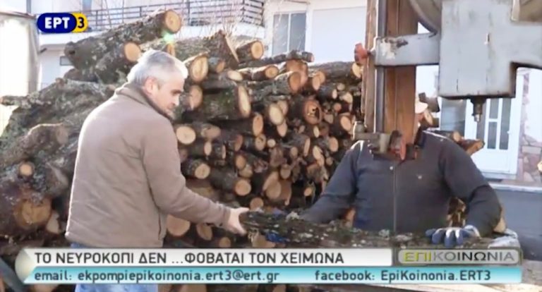 Αποθηκεύοντας ξύλα στο Νευροκόπι (video)