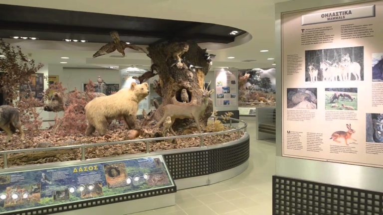 Το εντυπωσιακό μουσείο Φυσικής Ιστορίας στο Παρανέστι