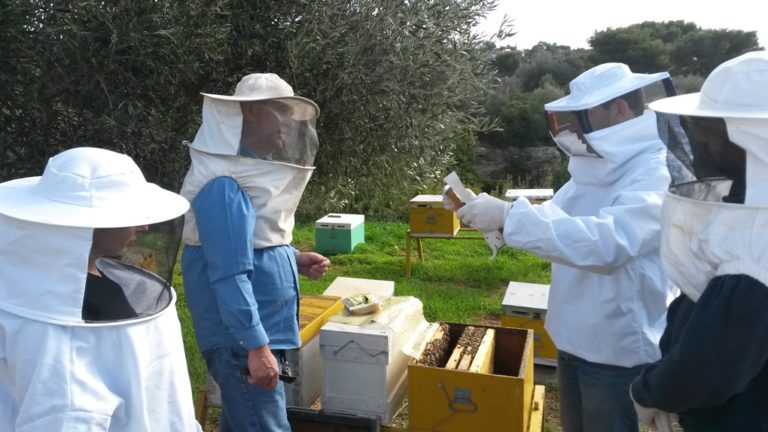 Eνημερωτική ημερίδα για μελισσοκόμους