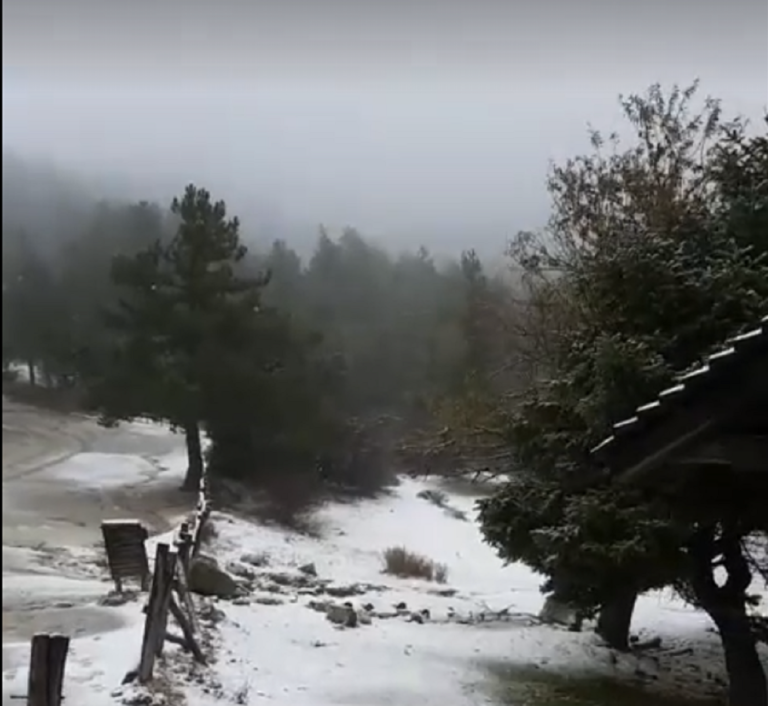 Τα πρώτα χιόνια έπεσαν στην Πάρνηθα (video)