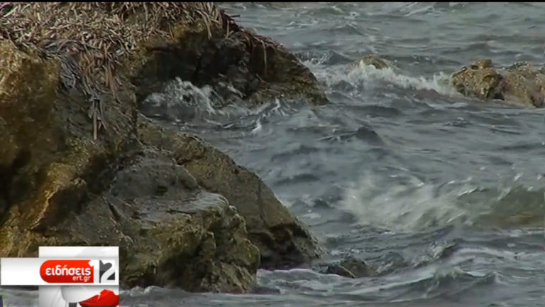 Καθαρές οι ακτές της Σαλαμίνας – Γραφείο για αξιώσεις αποζημίωσης (video)