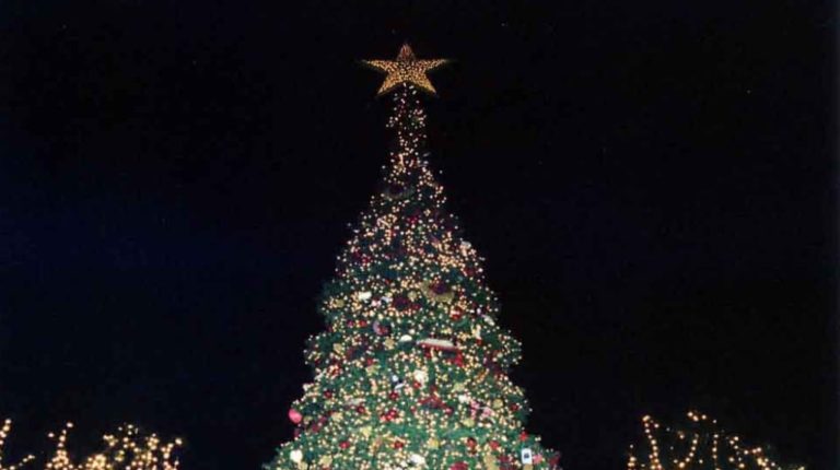 Πτολεμαΐδα: Ανάβει το χριστουγεννιάτικο δέντρο