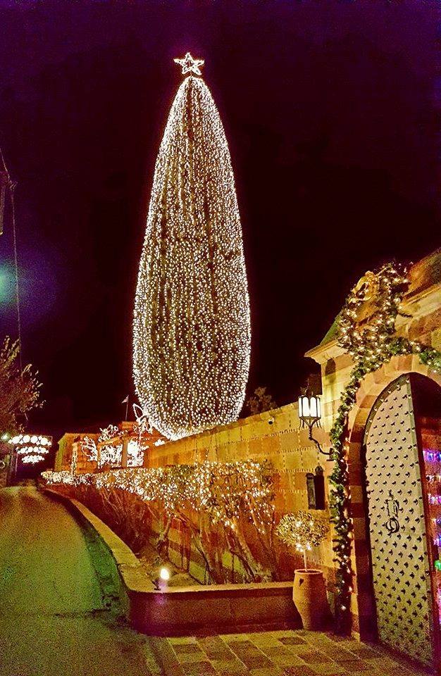 Αφή Χριστουγεννιάτικου δρόμου στο περιβόλι “Αργέντικο” στη Χίο