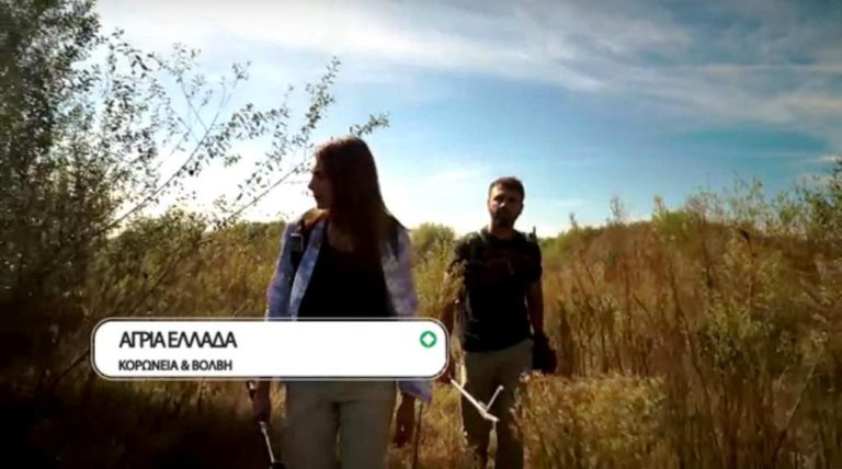 “Αγρια Ελλάδα”: Κορώνεια – Βόλβη (trailer)
