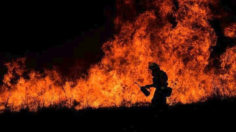 ΗΠΑ: Μαίνονται οι δασικές πυρκαγιές στην Καλιφόρνια (video)