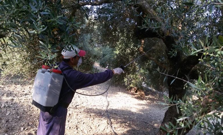 Η ΠΕ Ζακύνθου για δακοκτονία