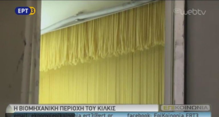 Επιμένουν…ελληνικά στη ΒΙΠΕ Κιλκίς (video) #KILKIS_Live