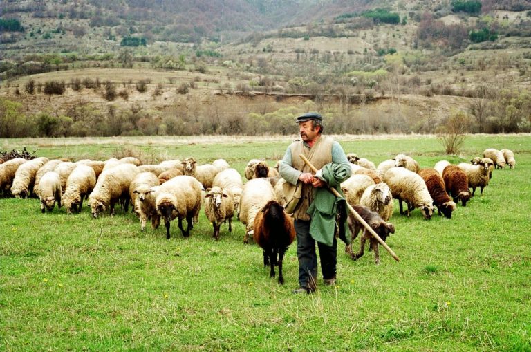 Ζητούν λύσεις στα προβλήματα τους