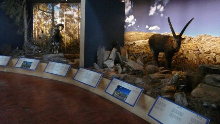Μια μοναδική νύχτα στο Μουσείο Φυσικής Ιστορίας