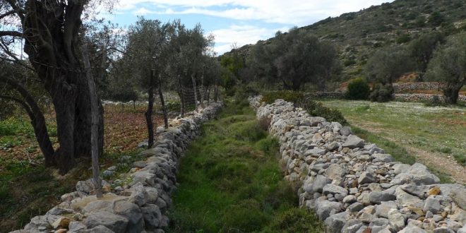 Φίλοι Μονοπατιών Χίου: αποκατάσταση παλιάς ξερολιθιάς στο μονοπάτι Ολύμποι-Σαλάγωνα