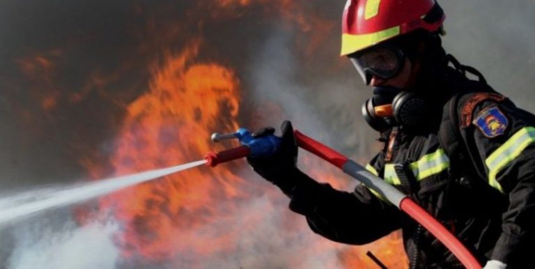 Πυρκαγιά στη Μούτελη έκαψε 50 στρέμματα  με καλαμιές