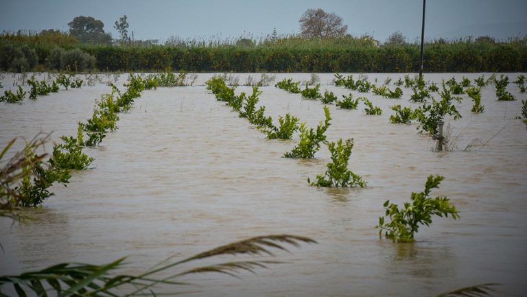 Σέρρες: Κλιμάκιο του ΕΛΓΑ στα Κ. Δένδρα για τις πλημμύρες
