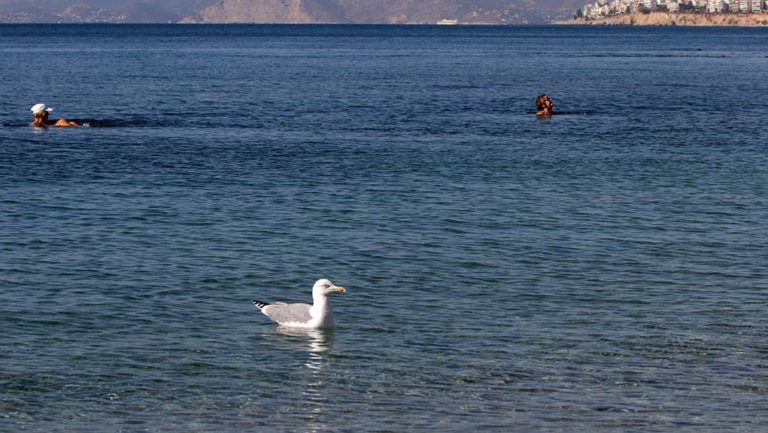 Σαρωνικός: Ανάλυση νέων δειγμάτων-Δεν υφίσταται πρόβλημα ρύπανσης