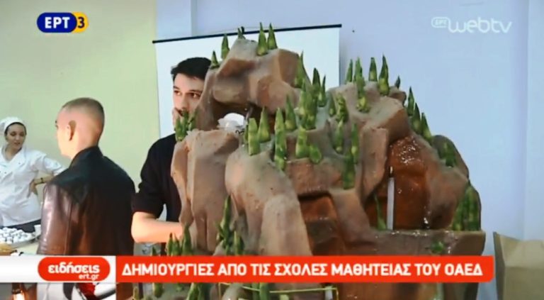 Επίδειξη δεξιοτήτων των σπουδαστών του ΟΑΕΔ (video)