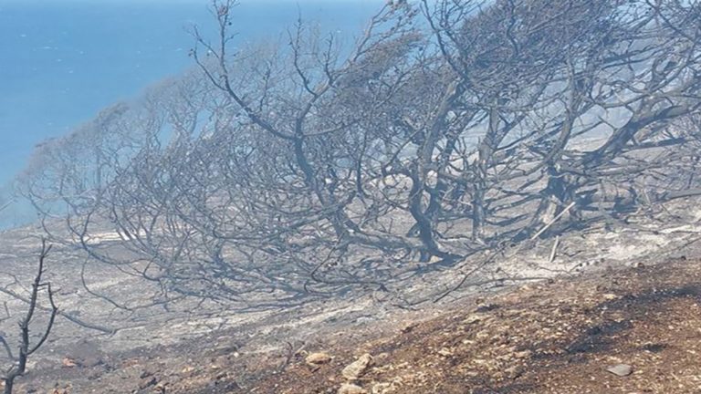 Μελέτη για την ανάπλαση του Μόντε Σμιθ συντάσσει ο Δήμος Ρόδου