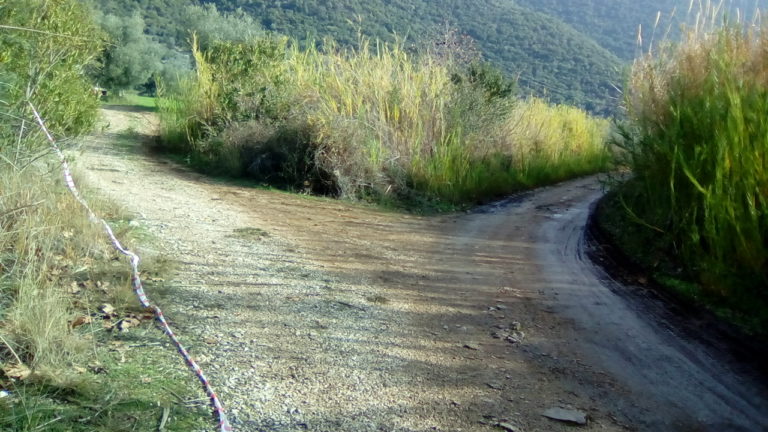 Αγρίνιο: προβληματίζουν τα νέα στοιχεία για το θάνατο της 44χρονης από την Κατοχή