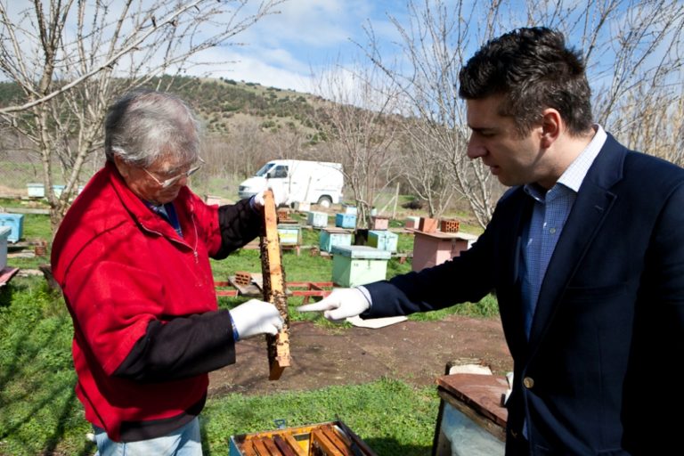 Το μέλι Ολύμπου επιβεβαιώνει την έρευνα του Ιπποκράτη