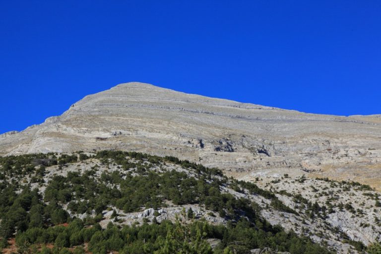 Τοπικά φυτά στον Ταΰγετο