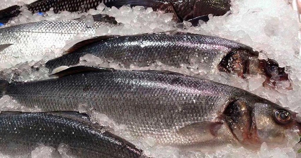 Εξαγωγές ψαριών σε Πορτογαλία