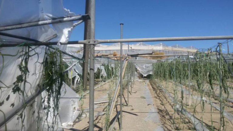 Ζητούν αποζημιώσεις για τις καταστροφές στα θερμοκήπια