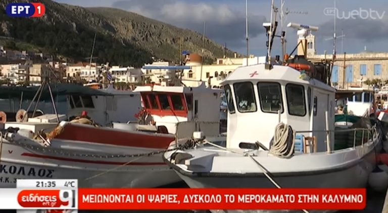 Στήριξη των ψαράδων με πρόγραμμα ανασυγκρότησης της αλιείας (video)