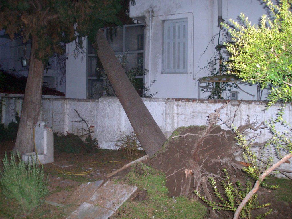 Το δέντρο προσγειώθηκε σε μπαλκόνι πολυκατοικίας
