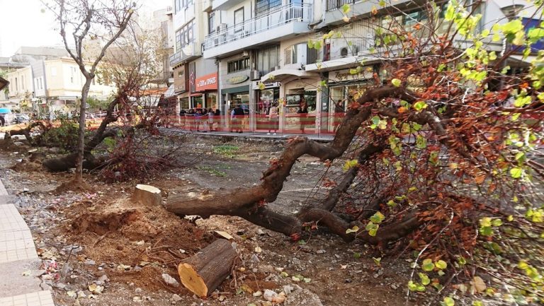 Απάντηση για τα δένδρα και τις κατεδαφίσεις