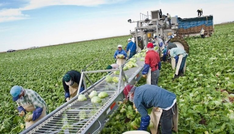 Σε κινητοποιήσεις οι παραγωγοί στην Αιτωλοακαρνανία