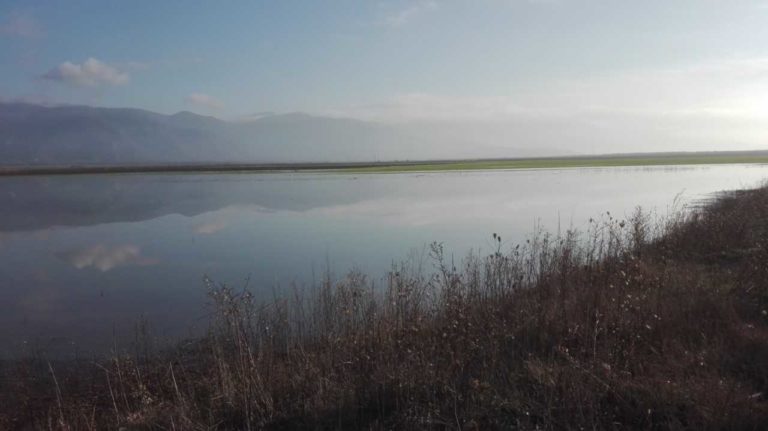 Εγκαίνια της επανασύστασης της Κάρλας