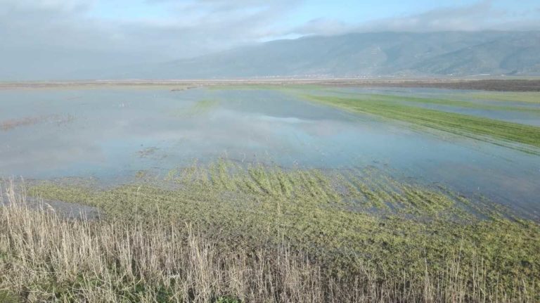 “Χαρίζονται” 9.000 στρέμματα σε Λάρισα και Μαγνησία