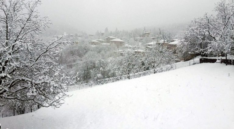 Αίτημα να τεθούν περιοχές της Θεσσαλίας σε κατάσταση έκτακτης ανάγκης (video)