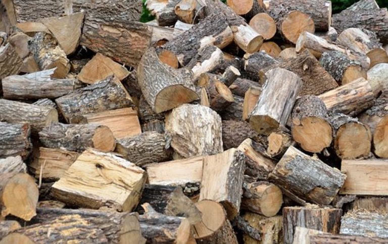 Γρεβενά: Δόθηκε λύση στο ζήτημα της ξύλευσης