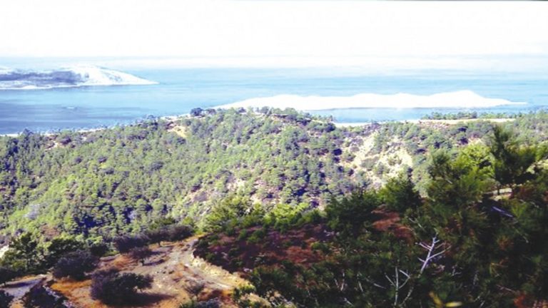 Καθυστερεί επένδυση λόγω αρχαιολογικών ανασκαφών