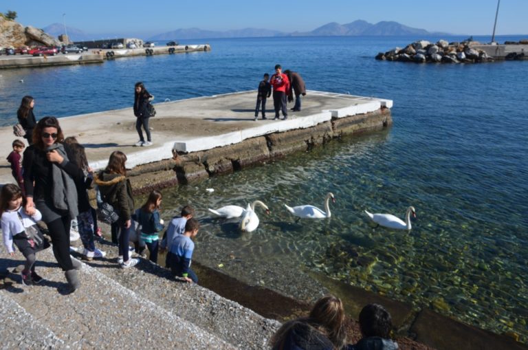 Ικαρία: Άλλοι τέσσερις μετανάστες που μας άλλαξαν την διάθεση.