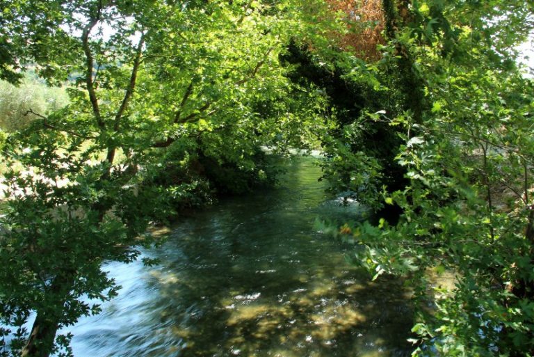 Χανιά: Συνεργασά για την προστασία του παράχθιου δάσους και του ποταμού Κοιλιάρη