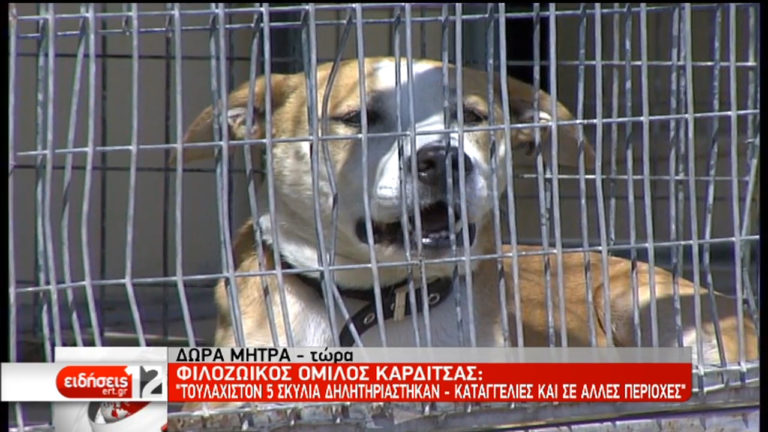 Φιλοζωϊκή Καρδίτσας: Μήνυση για βάναυση θανάτωση σκύλων (video)