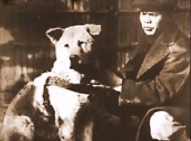 Ο Lluís Prats γράφει για τον “Χάτσικο”, τον “σκύλο που περίμενε”: μια αληθινή ιστορία