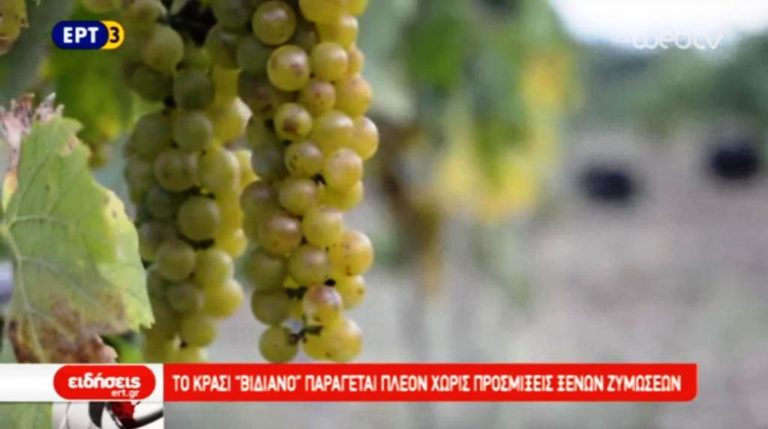 Κρήτη: Τo μοναδικό κρασί «Βιδιανό» χωρίς προσμίξεις (video)