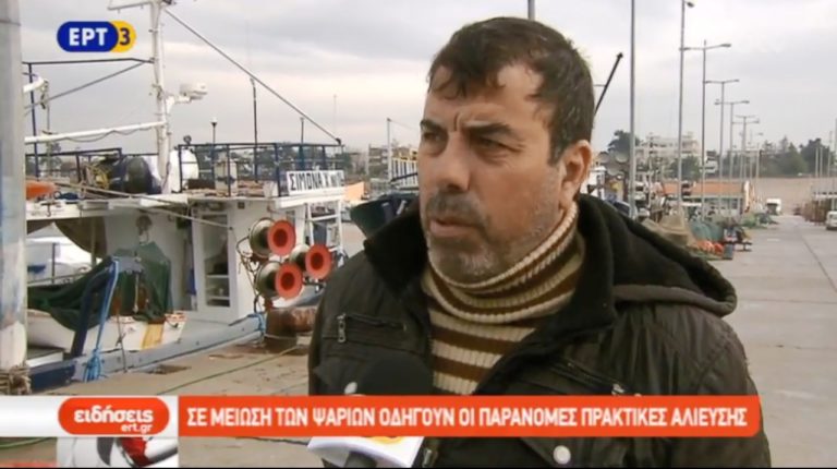 Κατασχέσεις ψαριών στην ιχθυόσκαλα της Νέας Μηχανιώνας Θεσσαλονίκης (video)