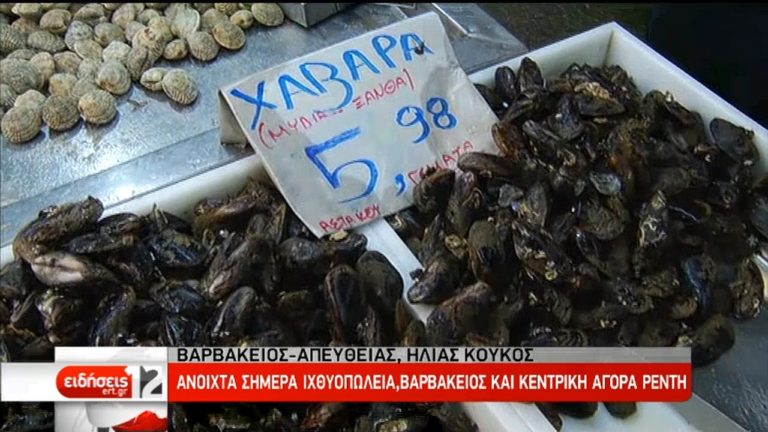 Αυξημένη ήταν η κίνηση στη Βαρβάκειο αγορά (video)